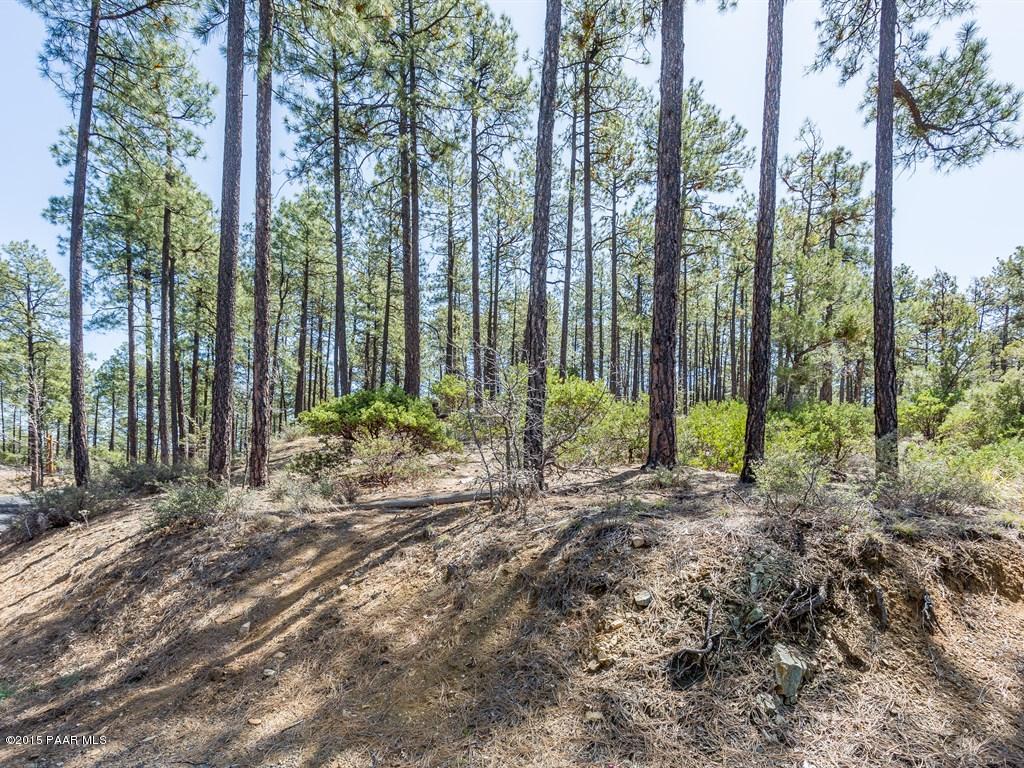 1530 High Valley Ranch Road Prescott, AZ 86303 - Photo 5 of 15 005_Property