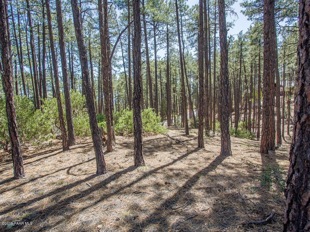 1530 High Valley Ranch Road Prescott, AZ 86303 - Photo 8 of 15 008_Property