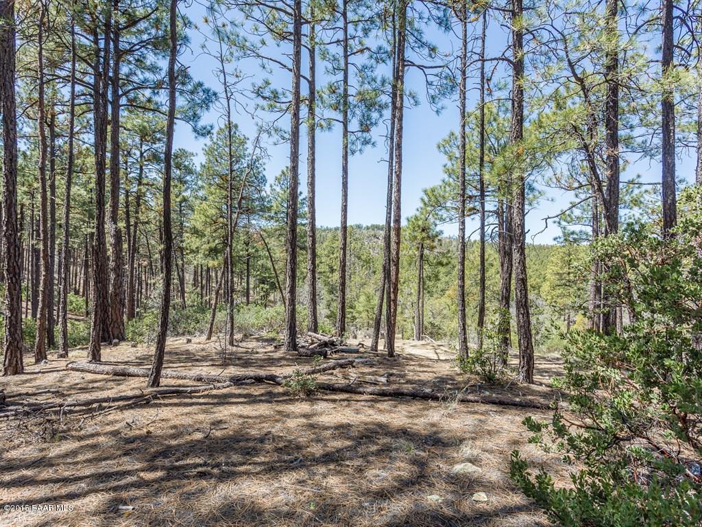 1530 High Valley Ranch Road Prescott, AZ 86303 - Photo 9 of 15 009_Property