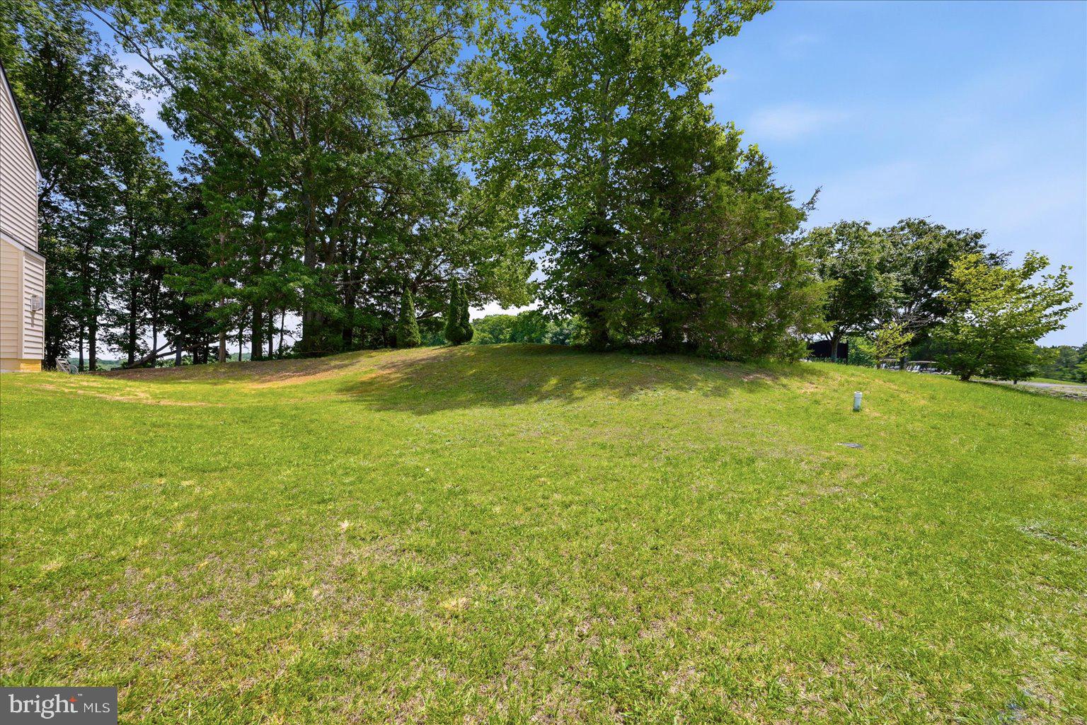 35464 Somerset Ridge Road Locust Grove, VA 22508 - Photo 22 of 30