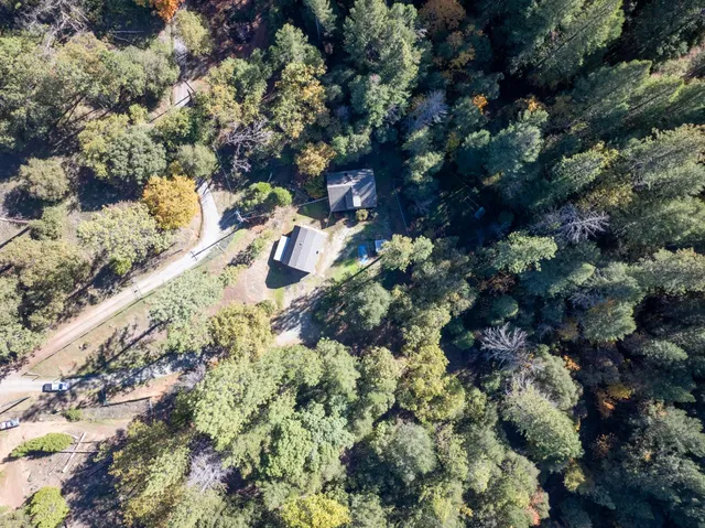 a view of a tree in front of the house