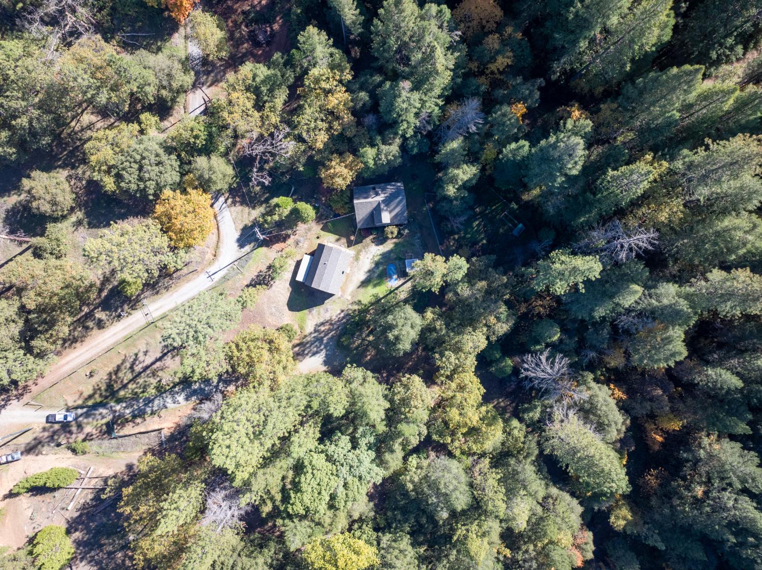 1610 Swansboro Road Placerville, CA 95667 - Photo 36 of 50 a view of a yard with plants