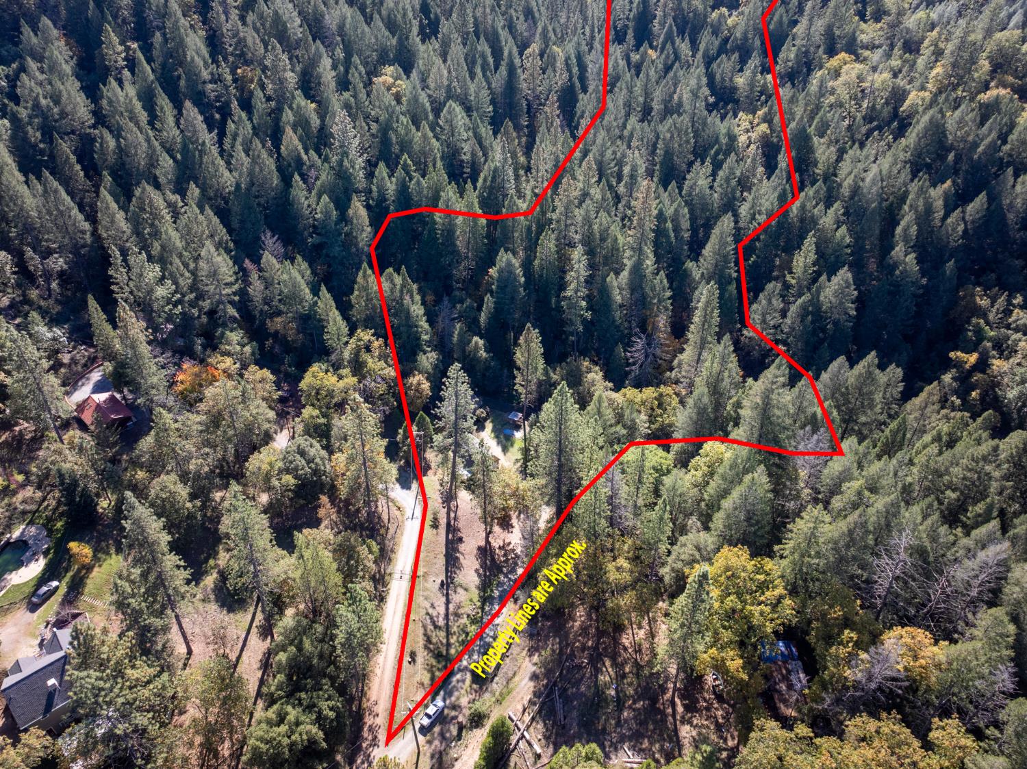 1610 Swansboro Road Placerville, CA 95667 - Photo 37 of 50 a view of a tree in front of the house