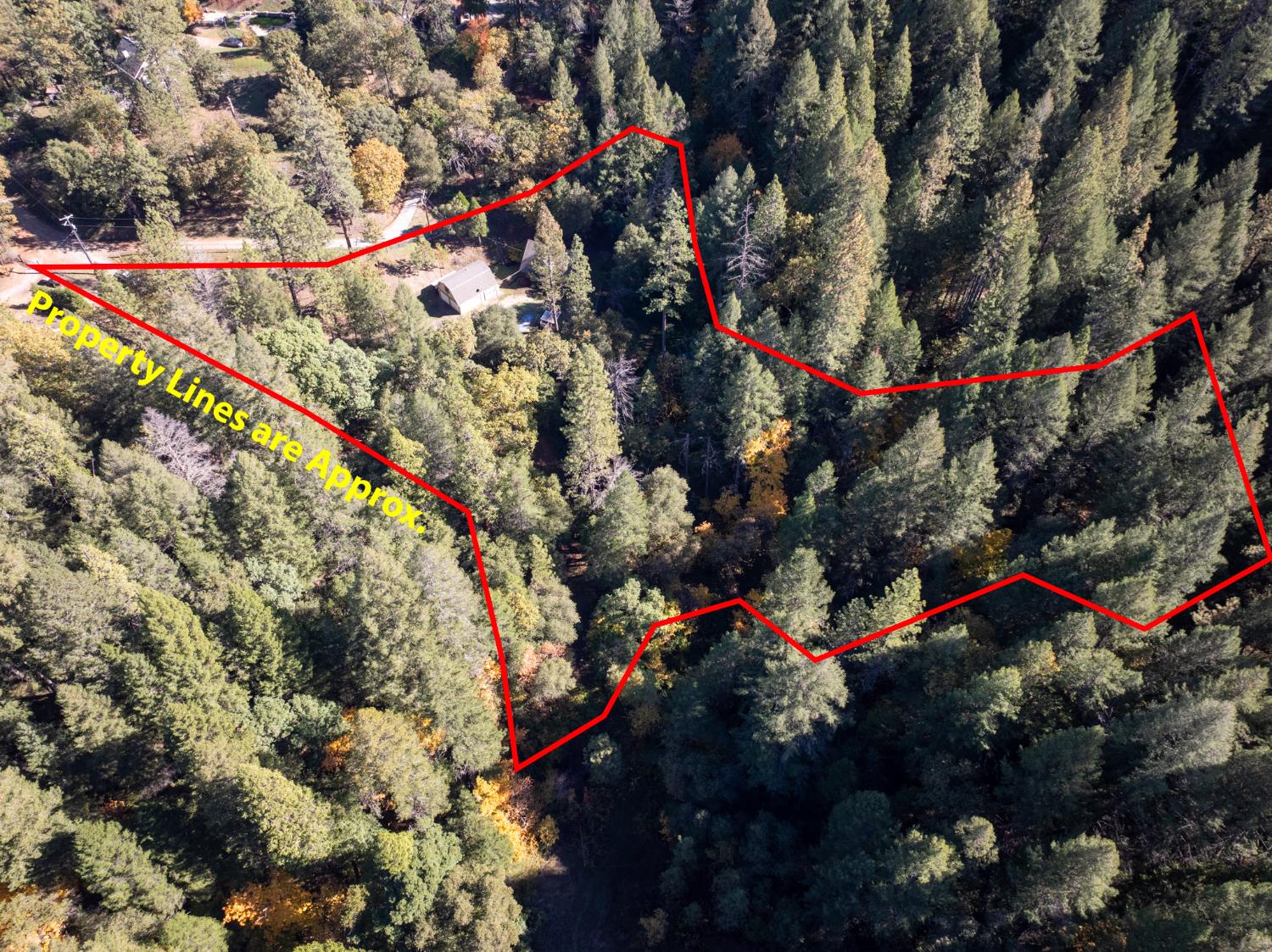 1610 Swansboro Road Placerville, CA 95667 - Photo 40 of 50