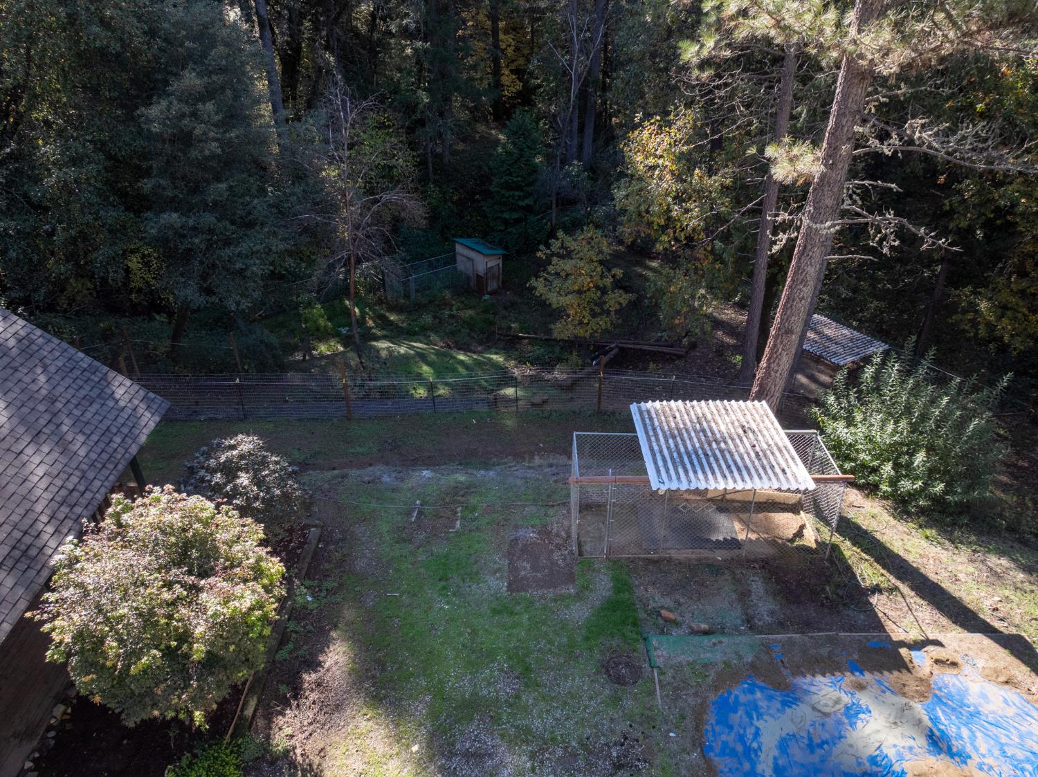 1610 Swansboro Road Placerville, CA 95667 - Photo 45 of 50 a view of a back yard of the house