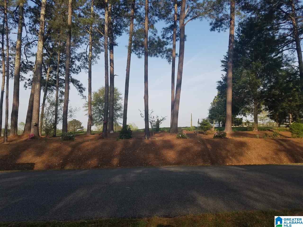15 North McDowell Road, Unit 15 Clanton, AL 35046 - Photo 2 of 4
