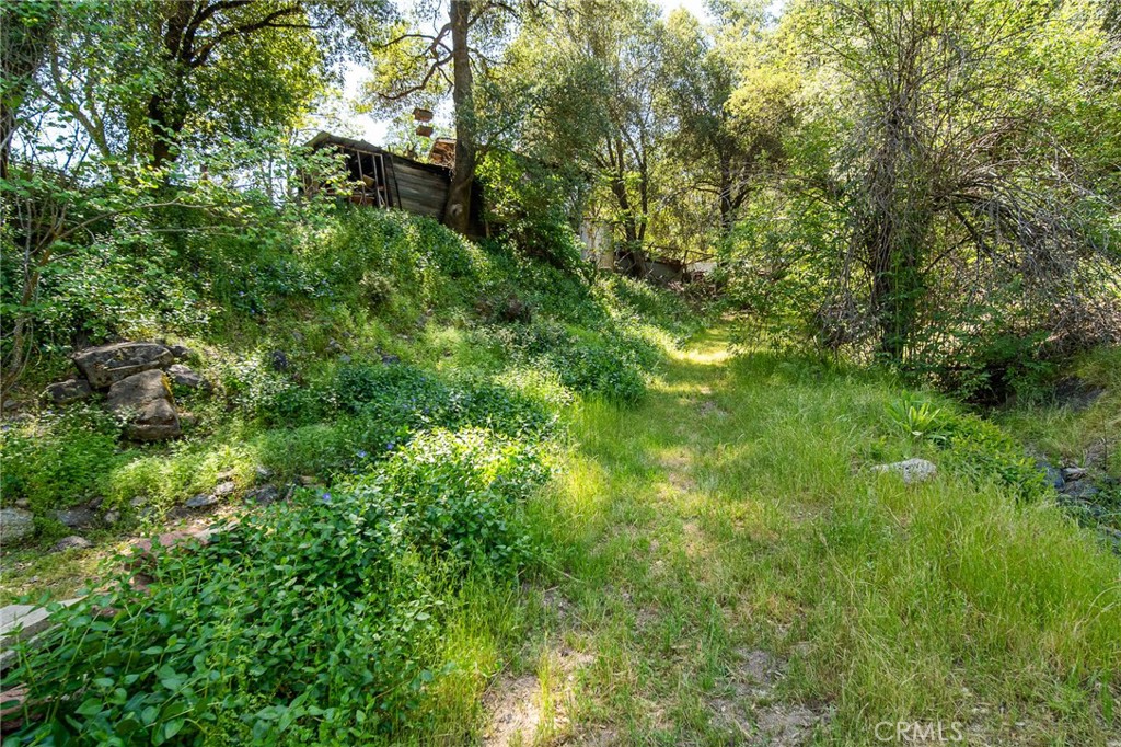 10049 Incline Road El Portal, CA 95318 - Photo 39 of 44 a view of a lush green forest