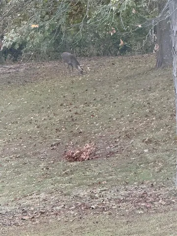 $500,000 | 5481 Edgewood Road, Salem, IL 62881