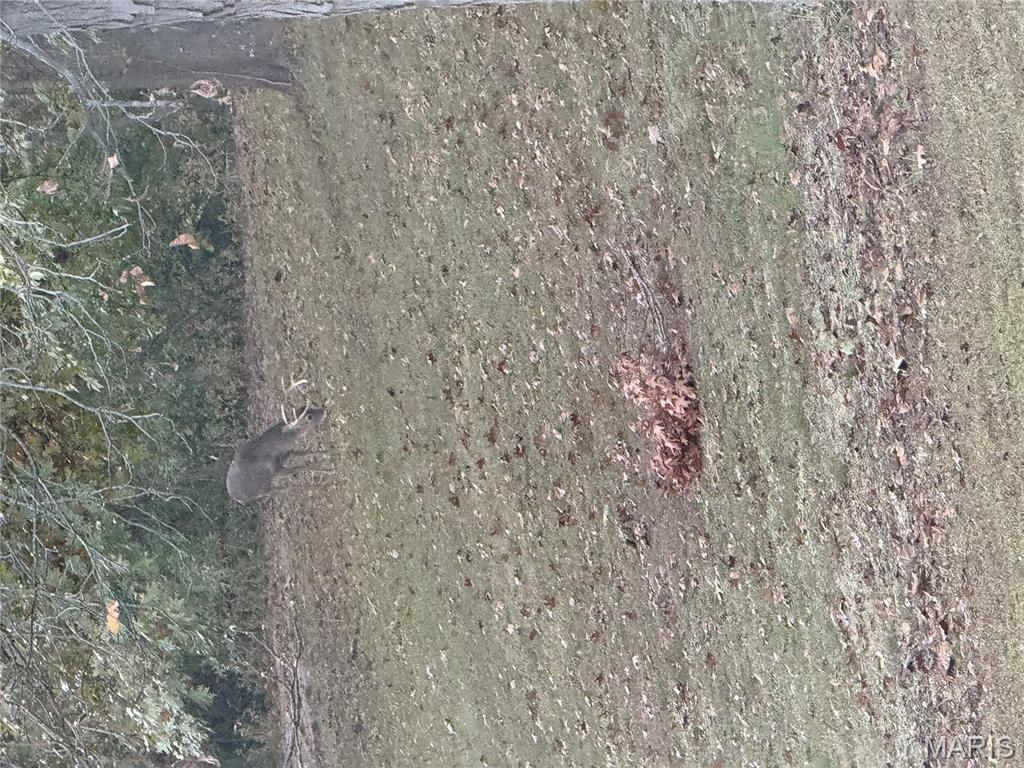 5481 Edgewood Road Salem, IL 62881 - Photo 11 of 66