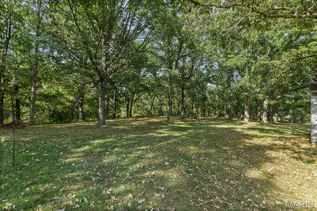 5481 Edgewood Road Salem, IL 62881 - Photo 8 of 66