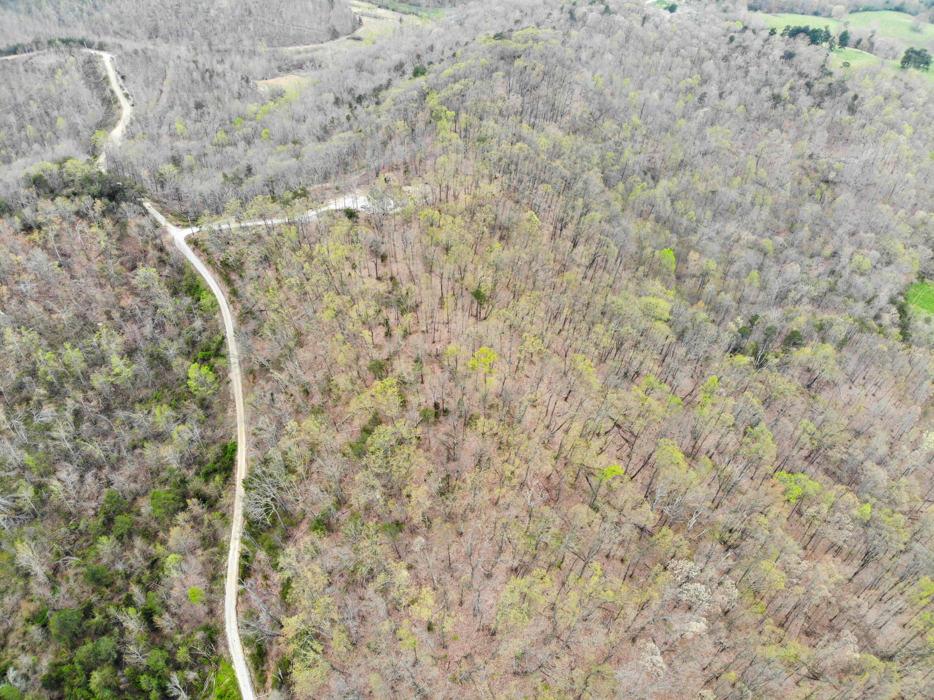 9999 Flat Gap Road Berea, KY 40403 - Photo 1 of 14 DJI_0536-2