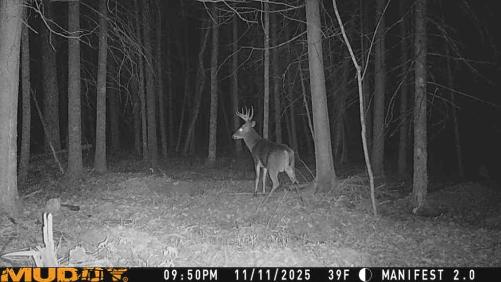 Springbrook Road Tigerton, WI 54486 - Photo 17 of 56