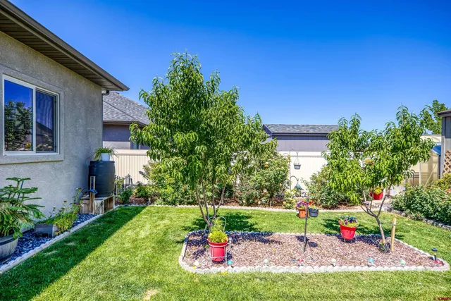 a view of a field with plants and trees