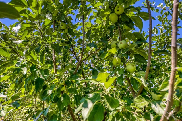 a picture of a bathroom with a shower