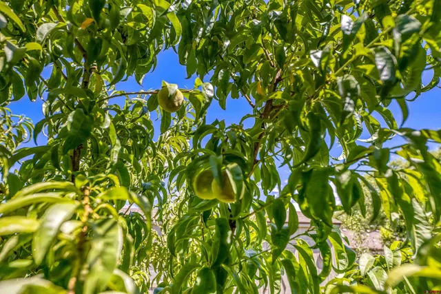 $610,000 | 1437 Criterion Street, Delta, CO 81416