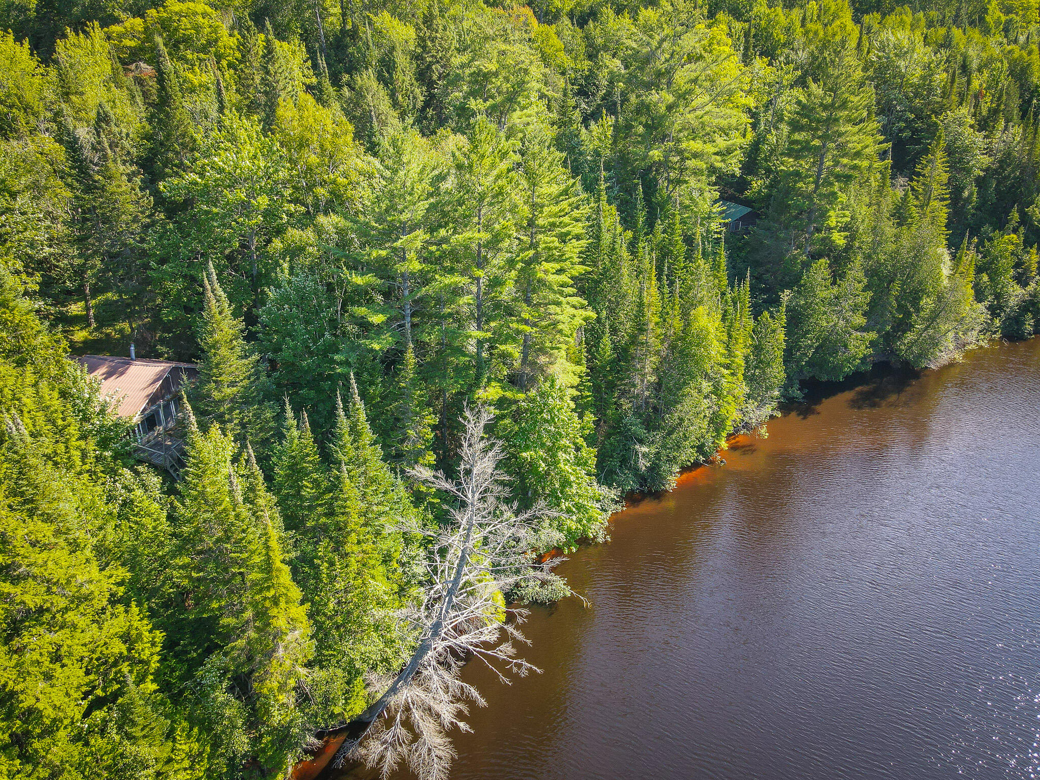 3505 Timber Lost Road Paradise, MI 49768 - Photo 4 of 63 DJI_0057