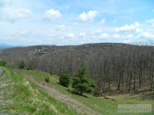 Lot 28 Bugle Bend Boone, NC 28607 - Photo 5 of 5 Gallery Image 5