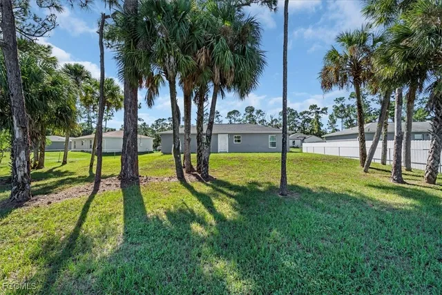 a view of a park with palm trees