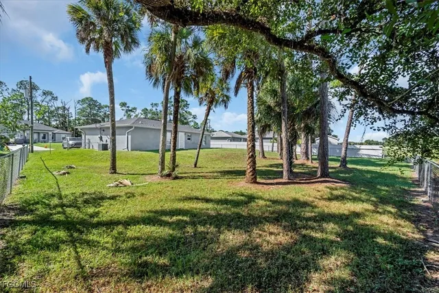 a view of a park with palm trees