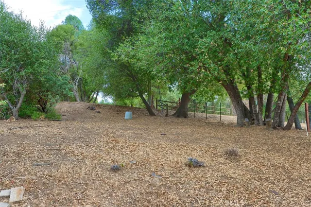 a view of outdoor space and yard