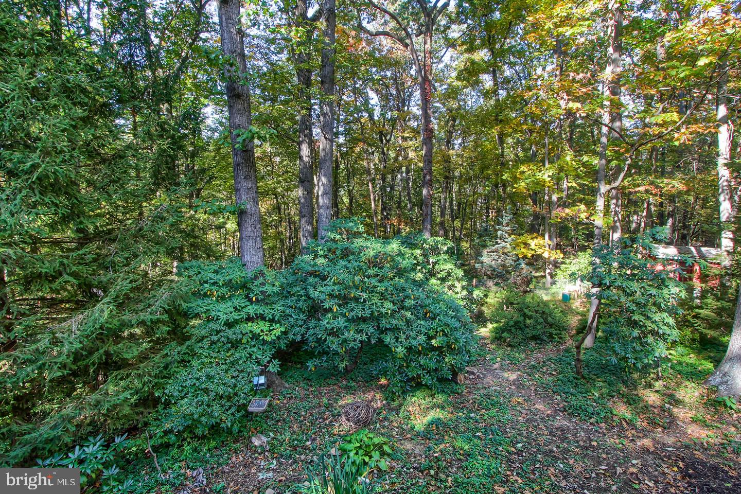 2685 Forest Road York, PA 17402 - Photo 22 of 28 Gallery Image 22