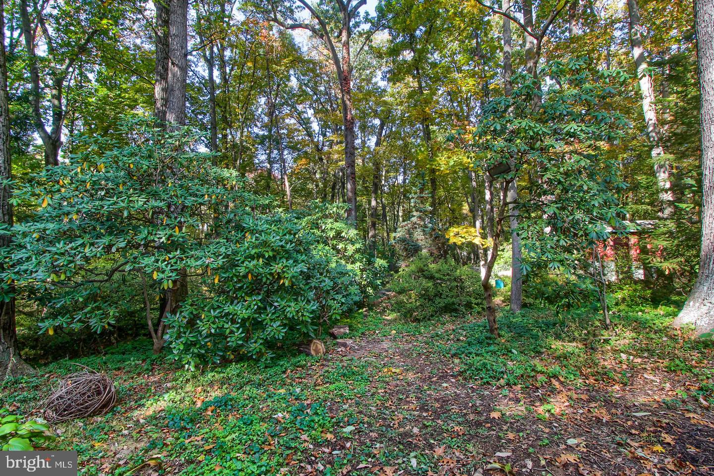 2685 Forest Road York, PA 17402 - Photo 24 of 28 Gallery Image 24