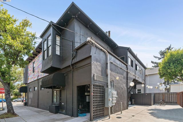 a close up of a wall with a potted plant