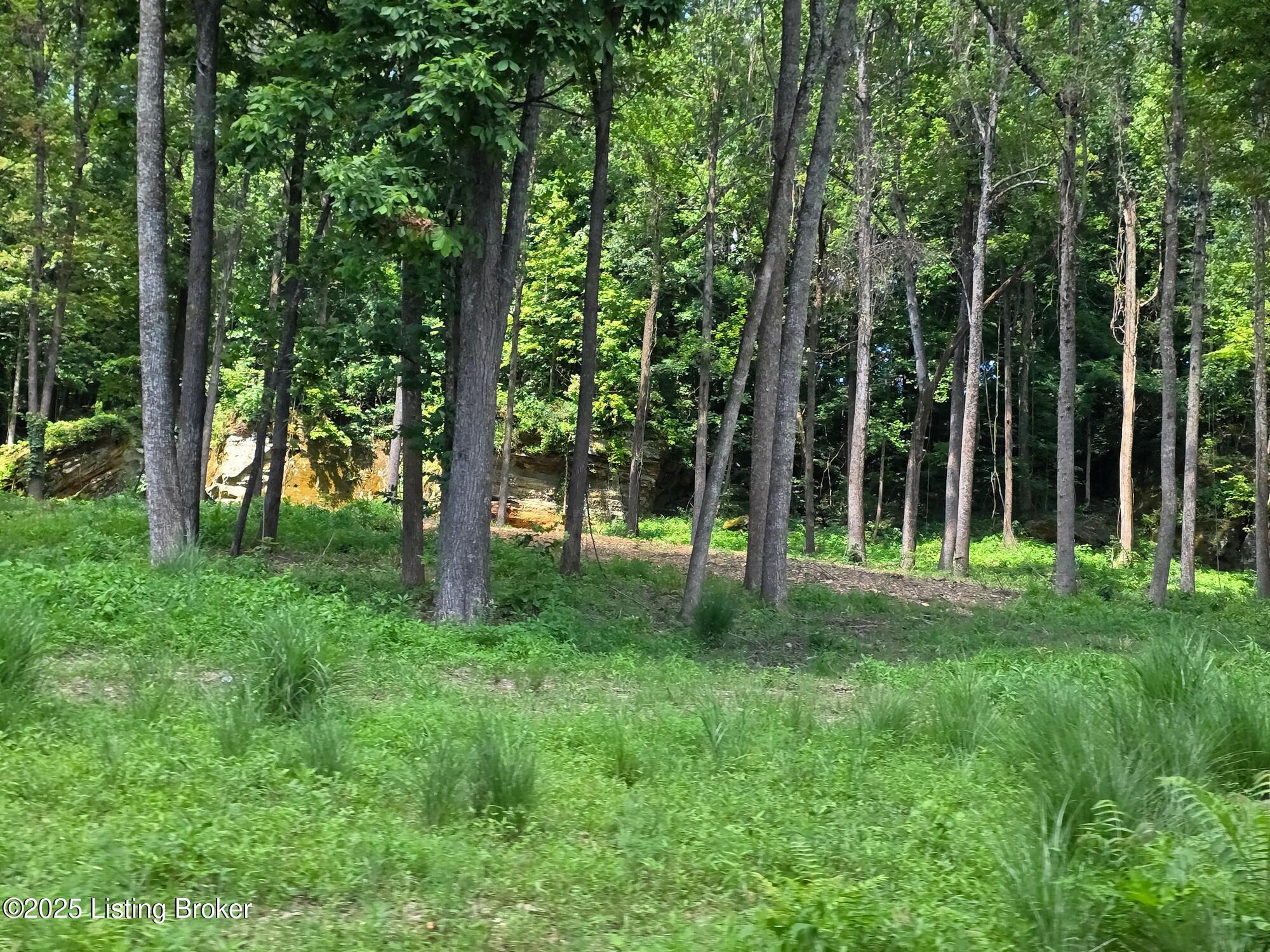 0 Cave Creek Road Falls Of Rough, KY 40119 - Photo 28 of 70 Entire Parcel (25)