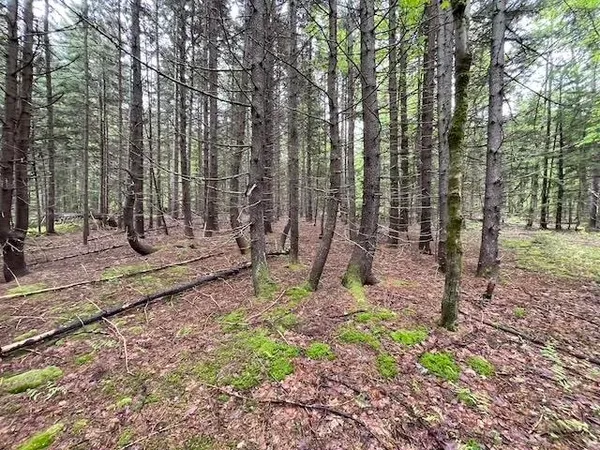 $69,000 | 0 Honeycomb Hill, Brattleboro, VT 05301