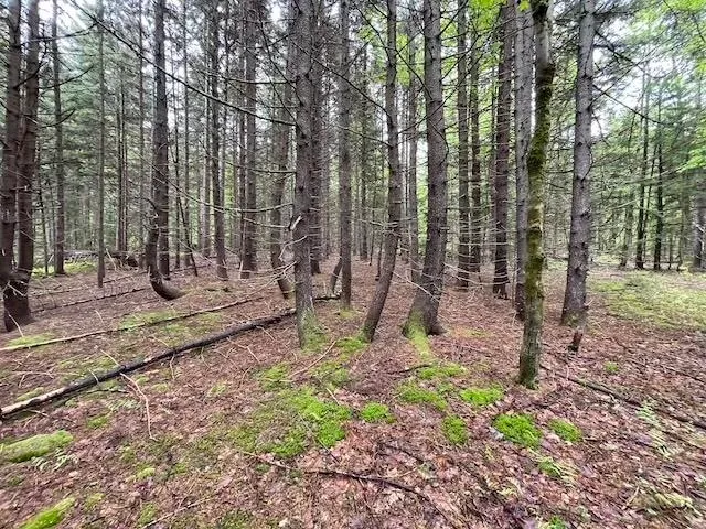 $79,000 | 0 Honeycomb Hill, Marlboro, VT 05344