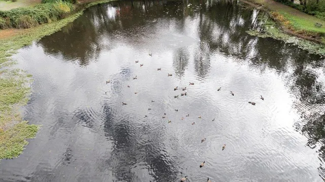 $128,000 | 1525 Cold Springs Road, Unit 37, Placerville, CA 95667