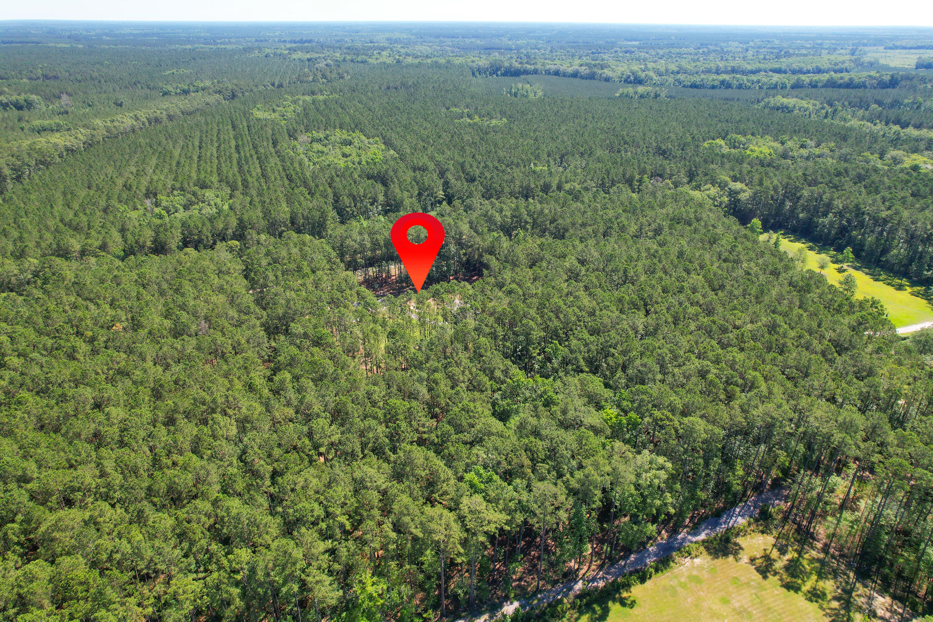8144 Autumn Mist Lane Adams Run, SC 29426 - Photo 2 of 48