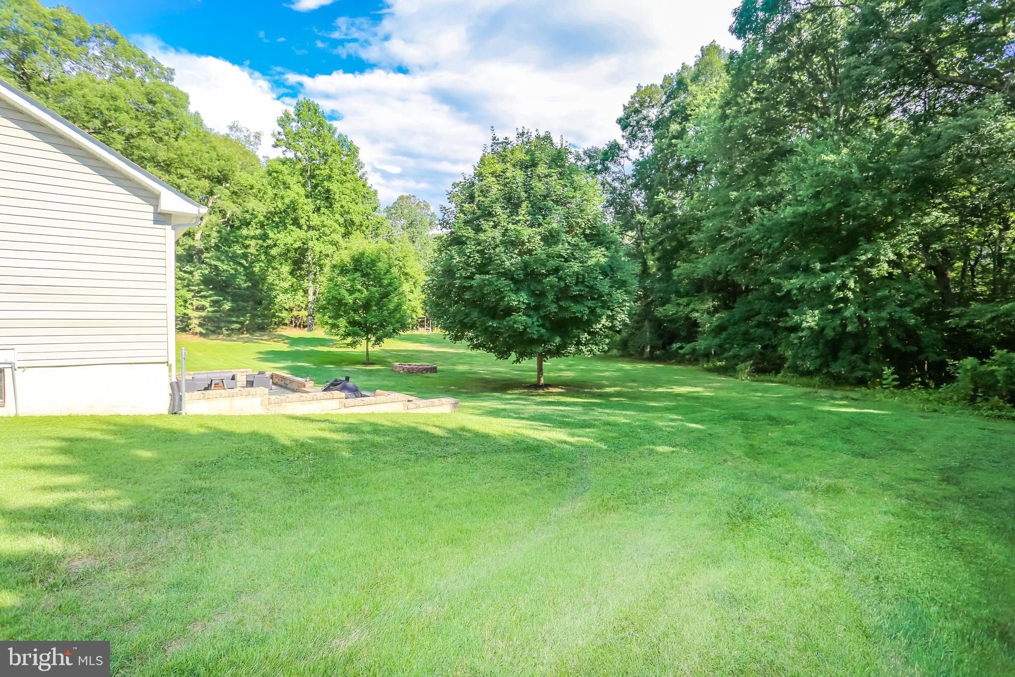 3529 Courtney School Road Midland, VA 22728 - Photo 25 of 28 Side yard looking into the back