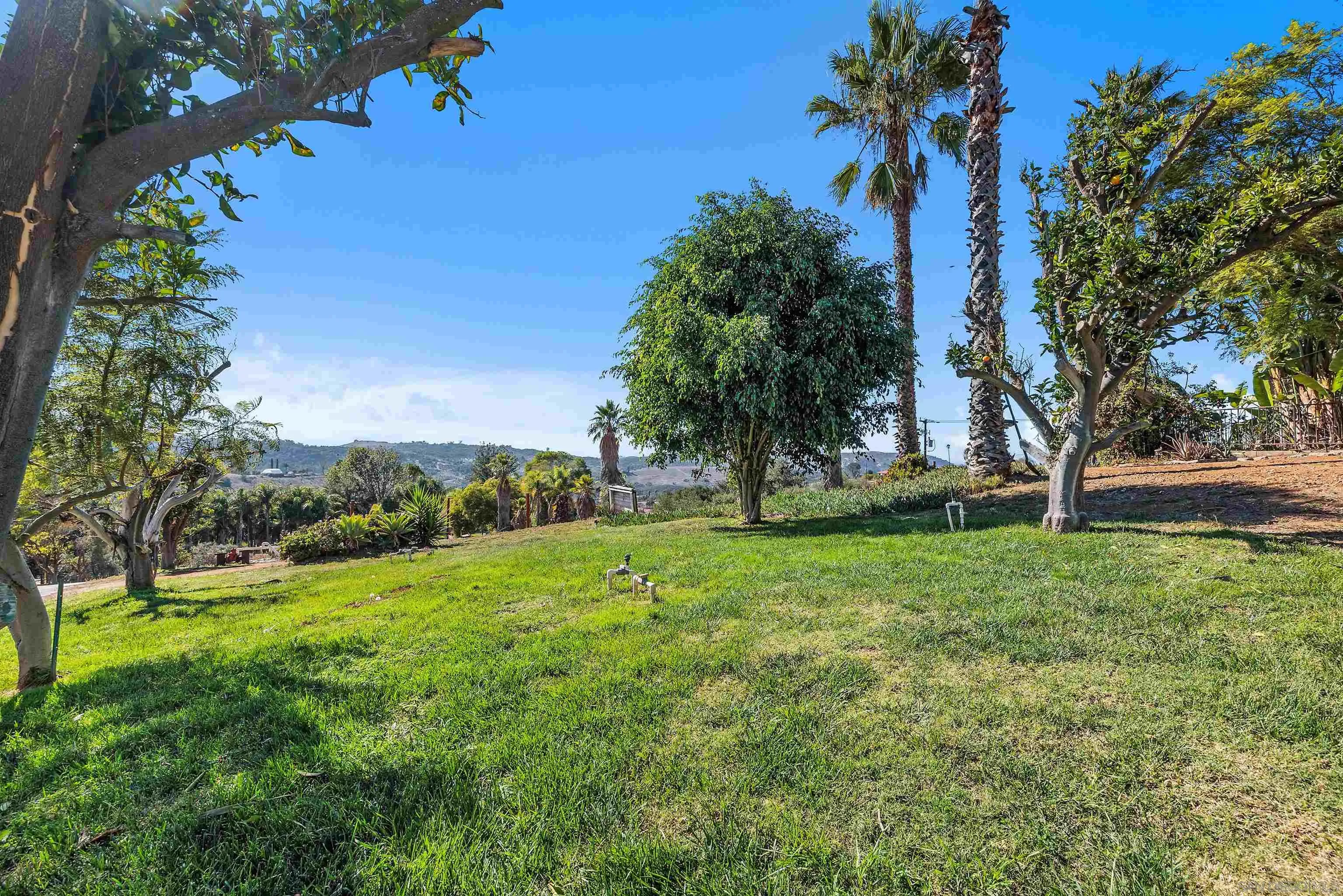 11270 San Luis Rey Drive Valley Center, CA 92082 - Photo 41 of 56 a view of backyard with green space