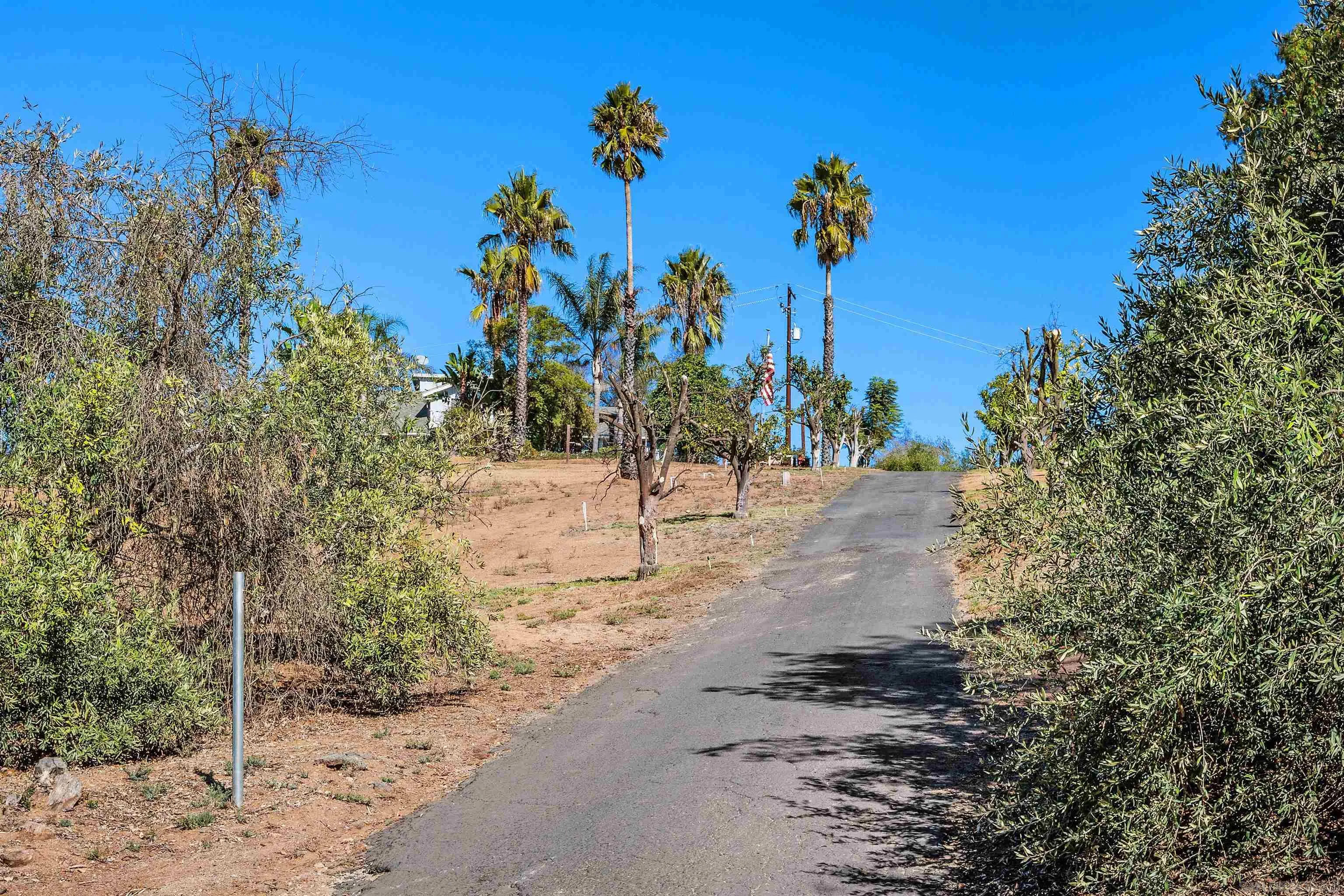 11270 San Luis Rey Drive Valley Center, CA 92082 - Photo 6 of 56 a view of a street with a building in the background