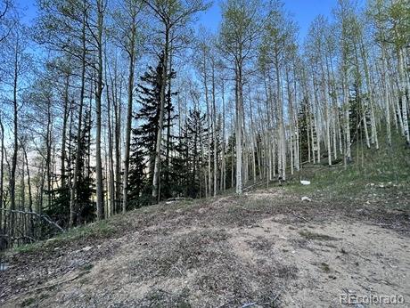 Bronfman Road San Luis, CO 81152 - Photo 17 of 24 Gallery Image 17