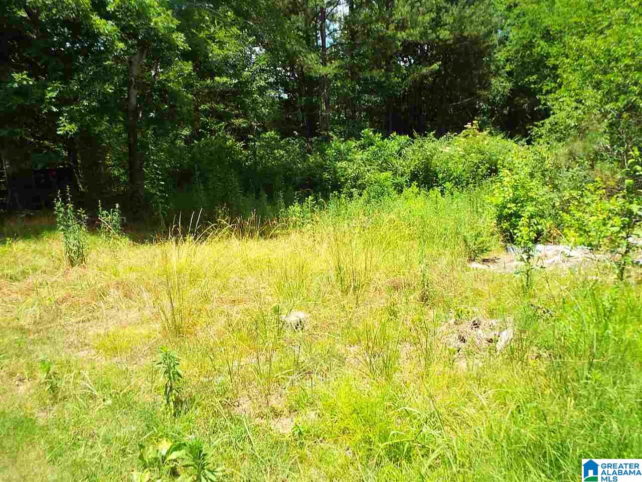 122 Boatwright Trail Oneonta, AL 35121 - Photo 6 of 8