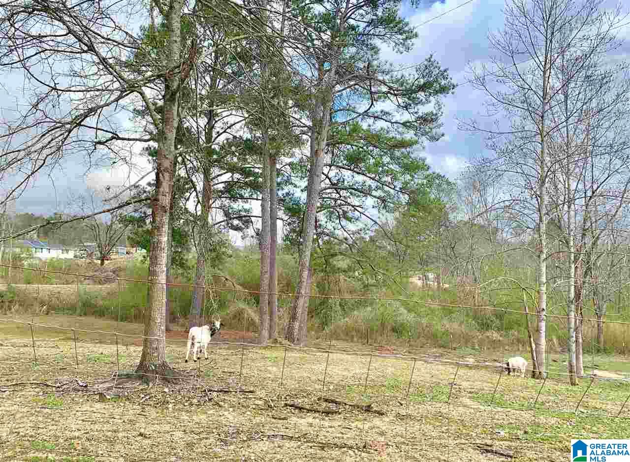 3139 Green Valley Road Gadsden, AL 35907 - Photo 44 of 49