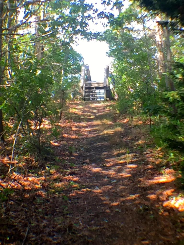124 Tonset Road Orleans, MA 02653 - Photo 3 of 10 a view of lots of trees