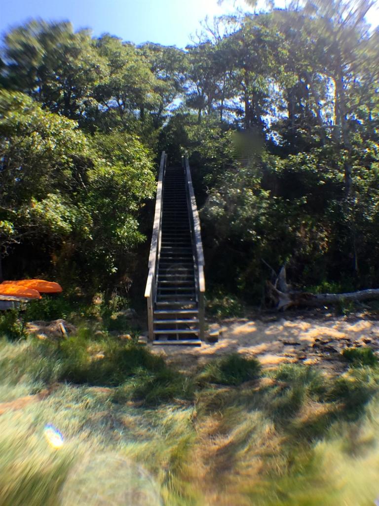 124 Tonset Road Orleans, MA 02653 - Photo 6 of 10 a view of a yard