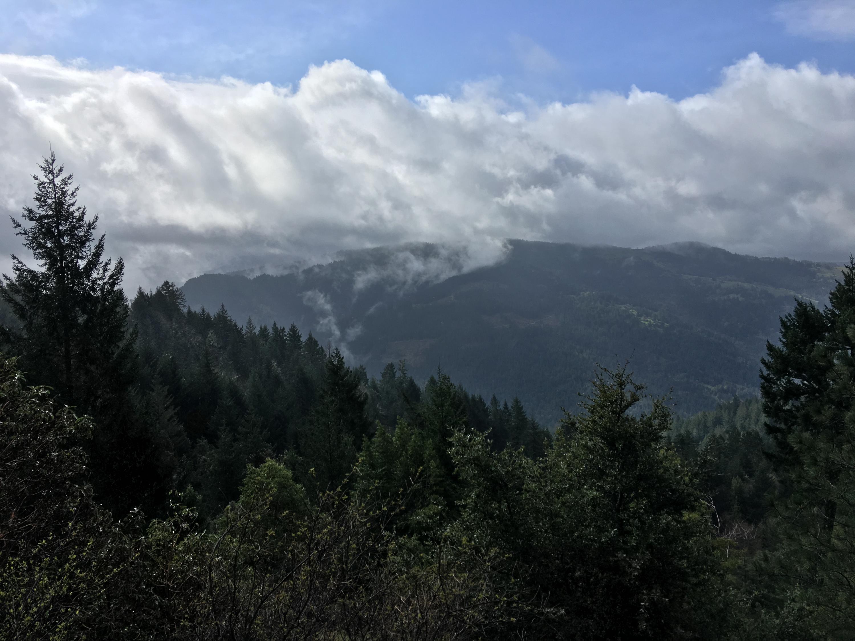 200 Acres Humbug Creek Road Arcata, CA 95521 - Photo 2 of 12