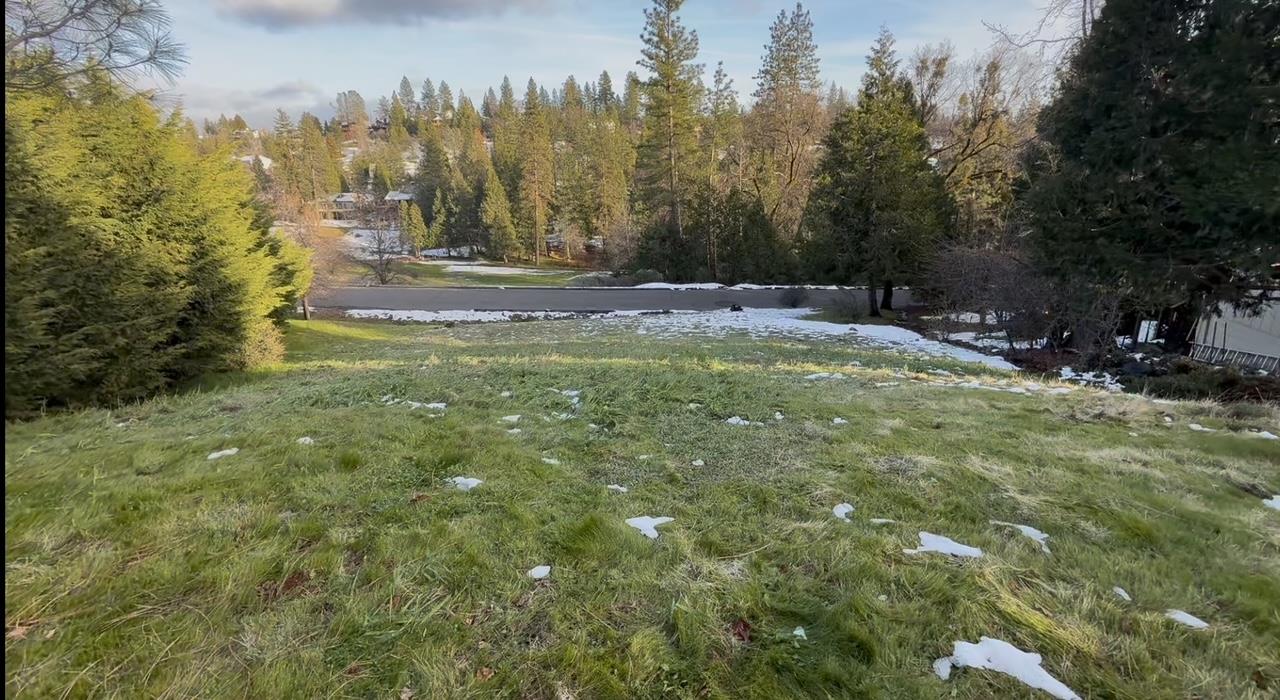 a view of a yard with trees