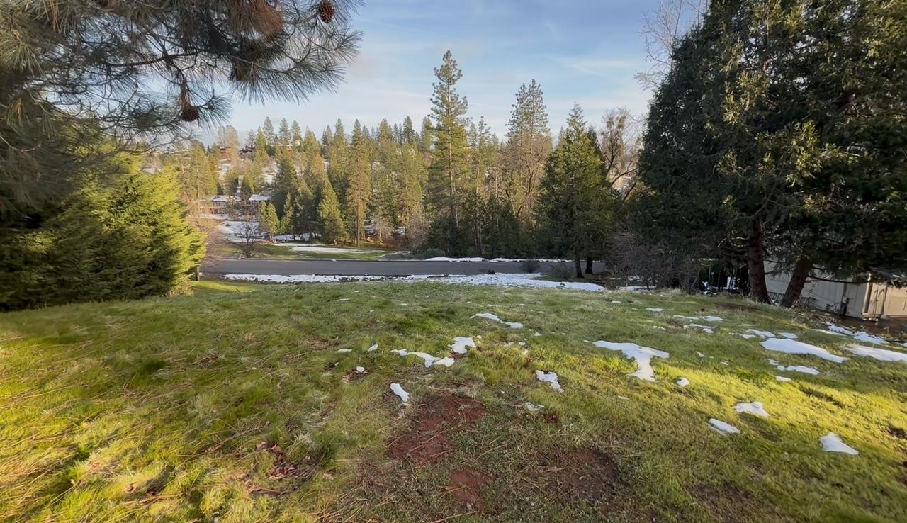 501 Forest Meadows Drive Murphys, CA 95247 - Photo 2 of 15