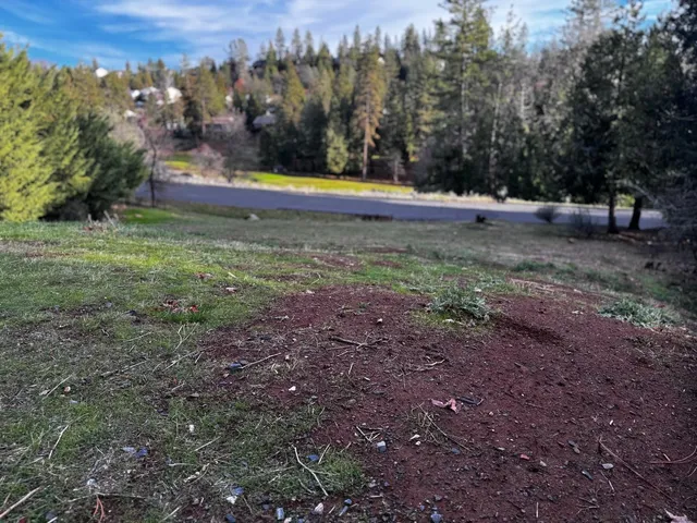 a view of outdoor space with trees all around