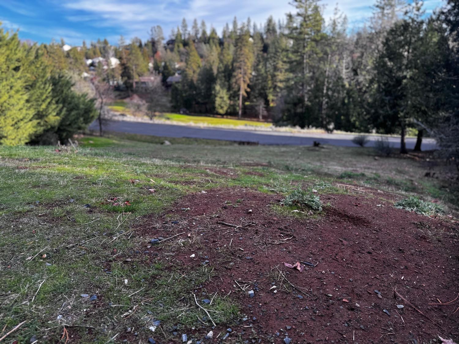 501 Forest Meadows Drive Murphys, CA 95247 - Photo 3 of 15