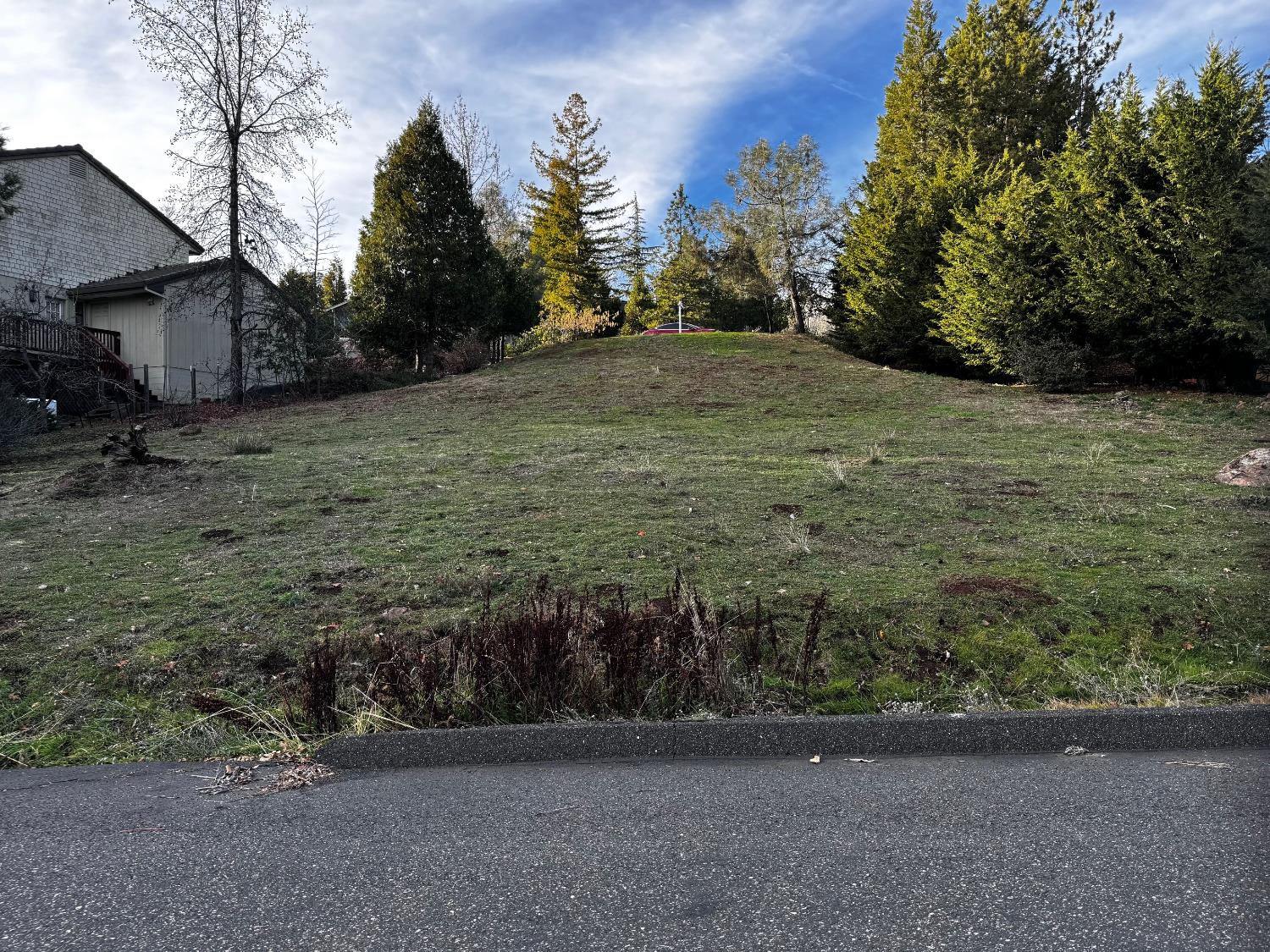 501 Forest Meadows Drive Murphys, CA 95247 - Photo 4 of 15