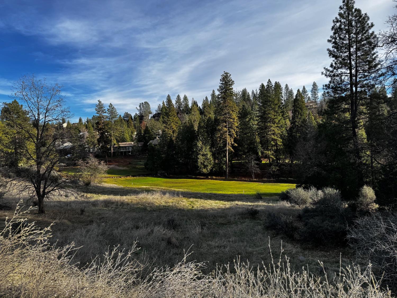 501 Forest Meadows Drive Murphys, CA 95247 - Photo 5 of 15