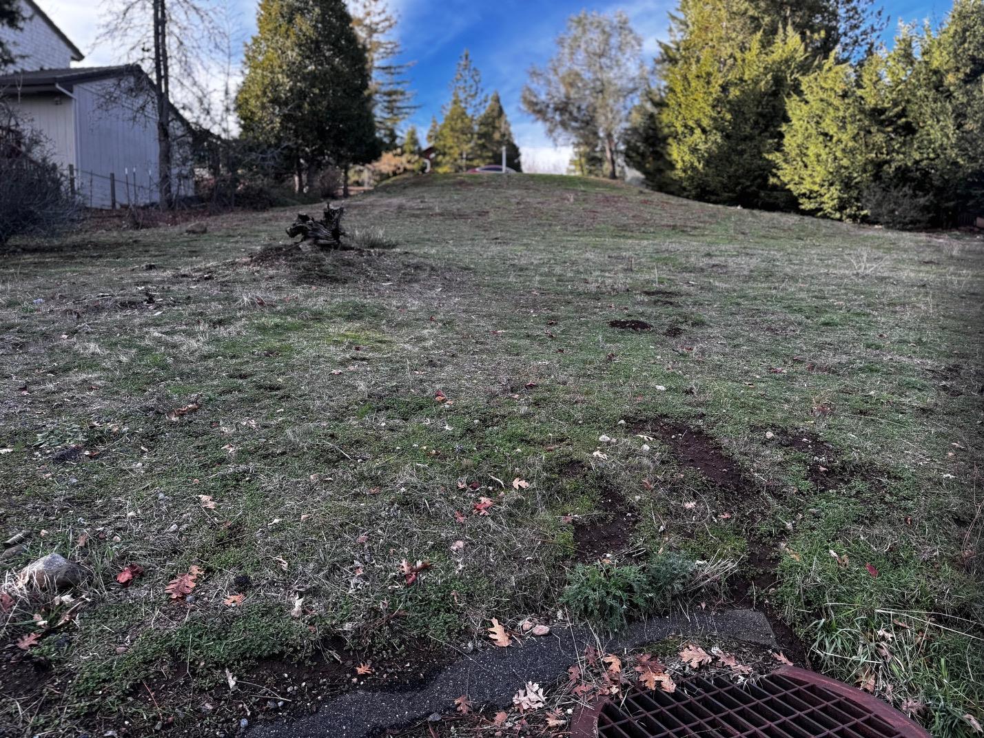 501 Forest Meadows Drive Murphys, CA 95247 - Photo 6 of 15
