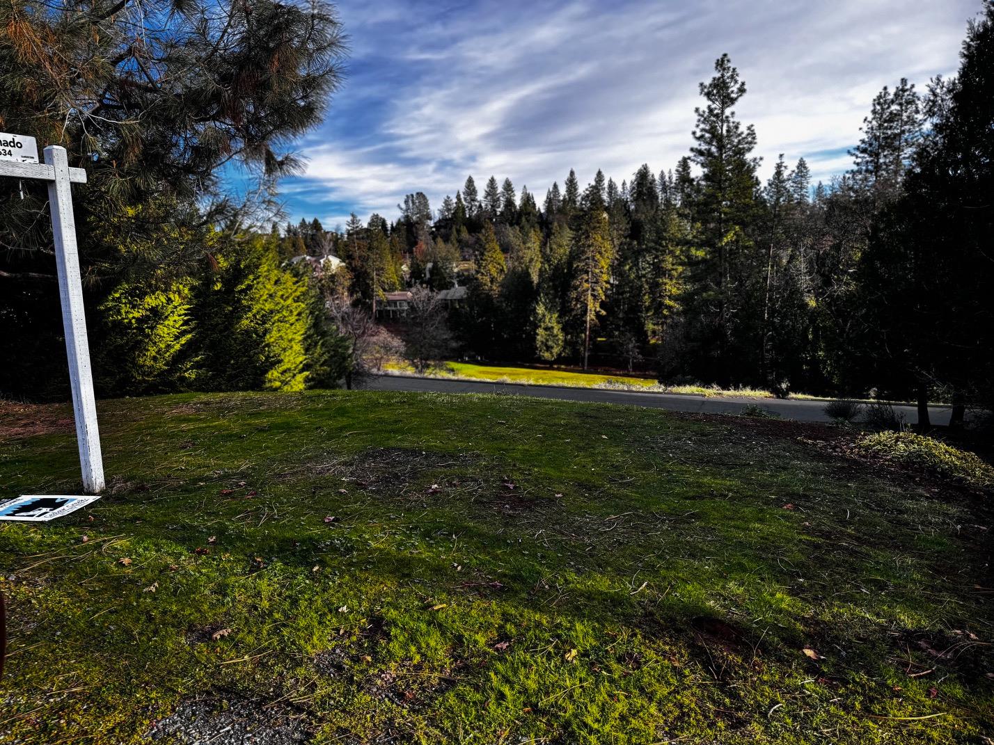 501 Forest Meadows Drive Murphys, CA 95247 - Photo 7 of 15