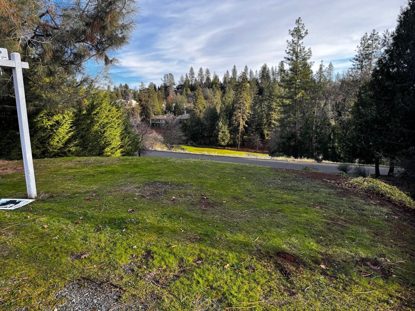 501 Forest Meadows Drive Murphys, CA 95247 - Photo 8 of 15